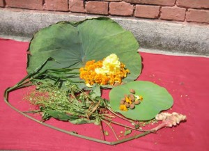 Flowers for the Newars' Ganesacaturthi